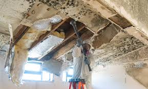 Asbestos and Lead Testing During Mold Inspection in Remerton, GA